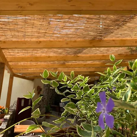 Szálloda O Remanso Dos Patos 2*